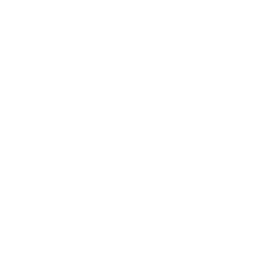 ico-stampati-02
